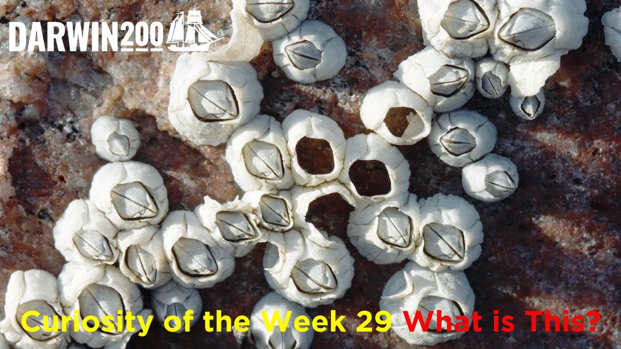 week-40-answer-world-s-most-exciting-classroom